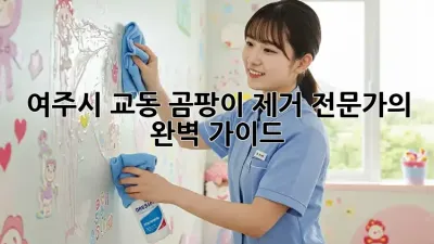 여주시 교동 곰팡이 제거 전문가의 완벽 가이드
