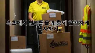 속초에서 반려동물과 함께 안전하게 이사하기