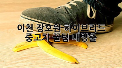 이천 장호원 하이브리드 중고차, 꿀팁 대방출! 🚗💨