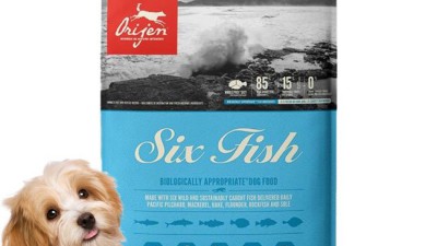 🐟 오리젠 식스피쉬 솔직 후기! 안 먹어본 飼い主 없게 해주세요! (할인꿀팁🎁)