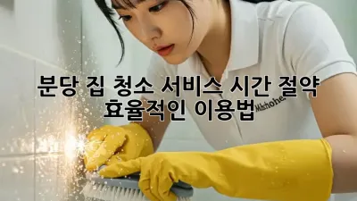 분당 집 청소 서비스: 시간 절약, 효율적인 이용법!