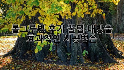 롤그루빙 후기: 꿀팁 대방출! 효과적인 시공법은?
